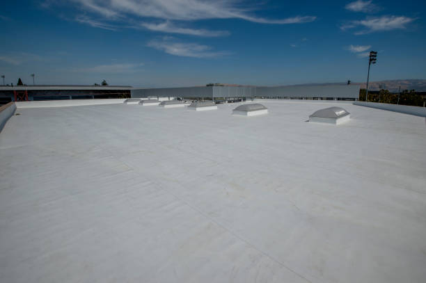 Best Green or Eco-Friendly Roofing Solutions  in Mcallen, TX