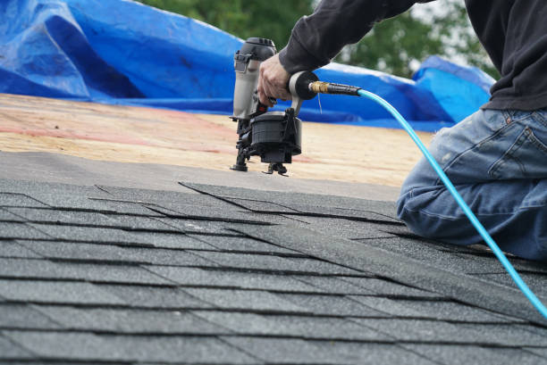 Best Roof Insulation Installation  in Mcallen, TX