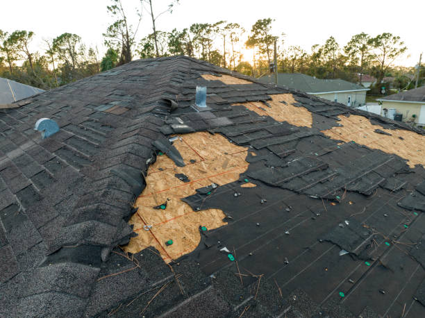 Best Roof Repair  in Mcallen, TX